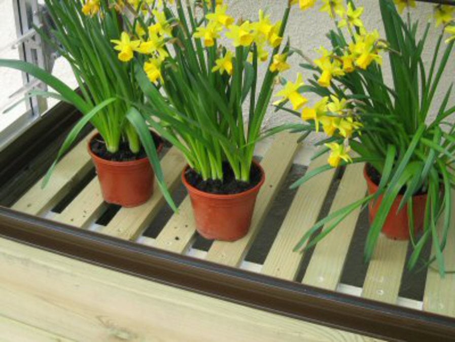 Buy Access Garden Products 5ft Freestanding Raised Base with Slats online UK