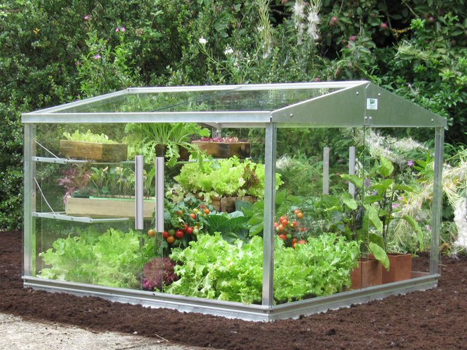 Access Cold Frame 4' X 4'