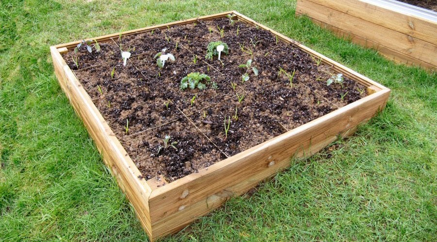 Buy Access Garden 4ft x 4ft Wooden Raised Bed Kit online UK