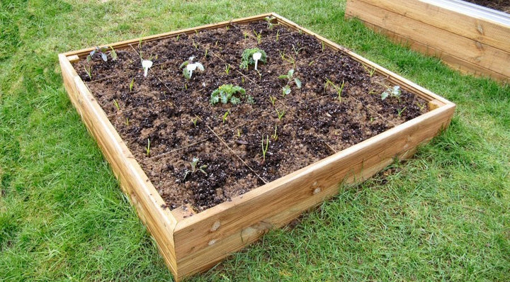 Buy Access Garden 4ft x 4ft Wooden Raised Bed Kit online UK