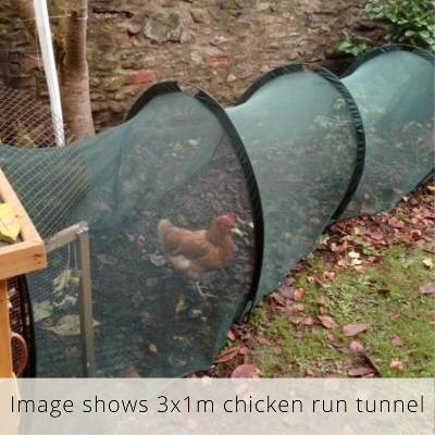 Hen Den Chicken Run Tunnel & Pet House - 2m