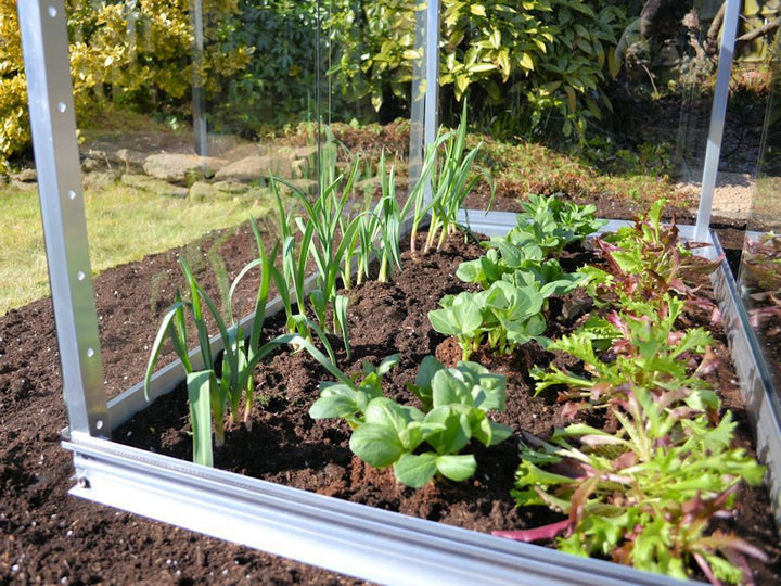 Access Mini Garden Cold Frame 2' X 4'