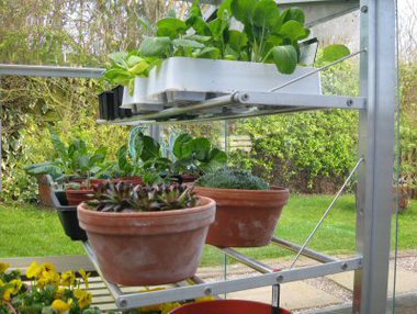 Access Half Cold Frame Shelves