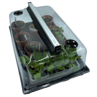 GardenSkill Heated Propagator & Indoor Greenhouse with LED Light