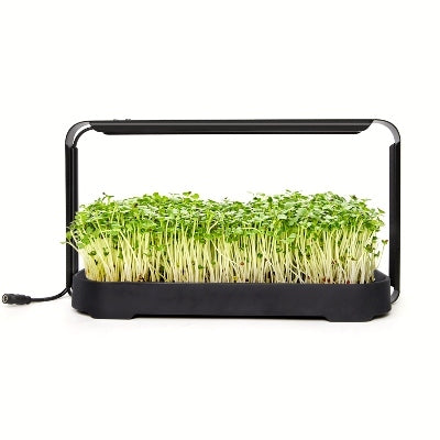 GardenSkill Indoor Hydroponics Growing System with LED Light