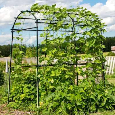 GardenSkill Garden Grow Tunnel & Support Trellis