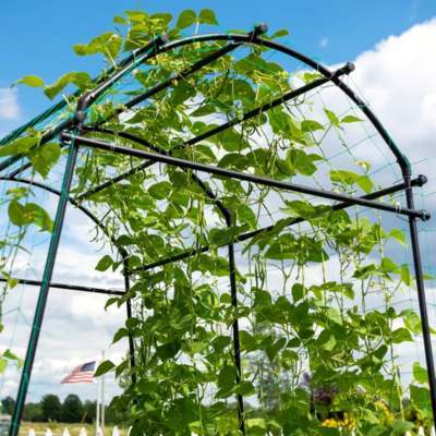 GardenSkill Garden Grow Tunnel & Support Trellis