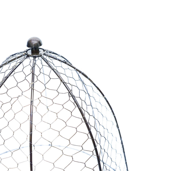 Ivyline Outdoor Wire Netted Plant Protector