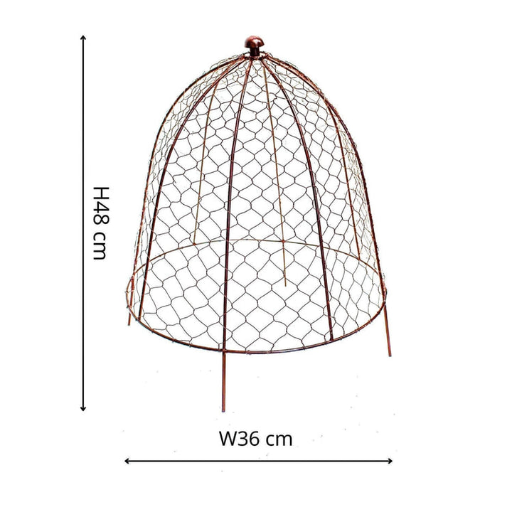 Ivyline Outdoor Wire Netted Plant Protector