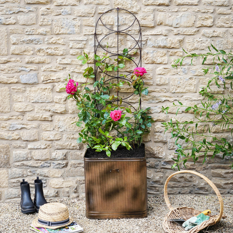 Ivyline Outdoor Cylinder Trellis