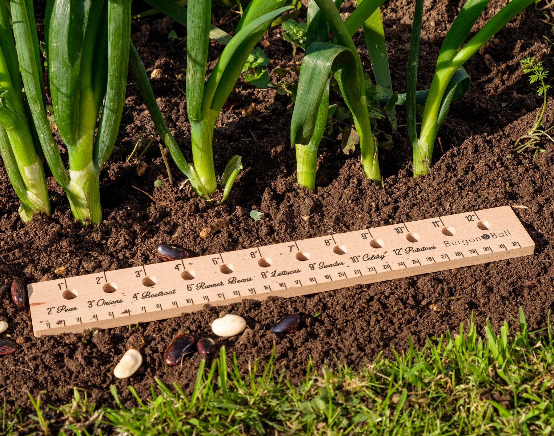 Botany Ruler Burgon & Ball Planting Ruler - Garden Wildlife