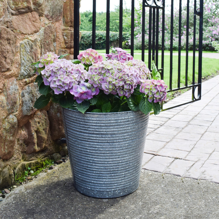 Ivyline Ribbed Galvanised Planter