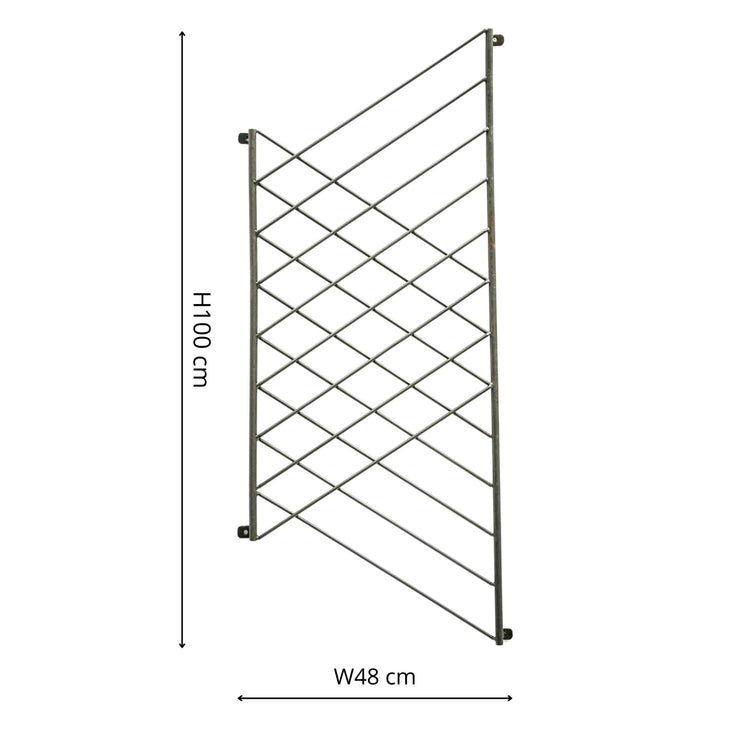 Ivyline Outdoor Linear Trellis