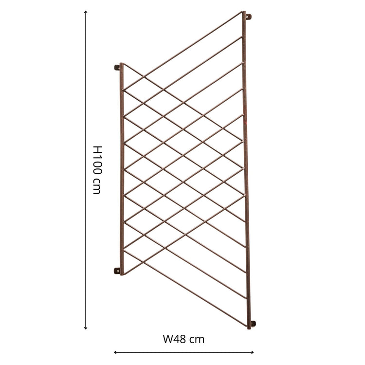 Ivyline Outdoor Linear Trellis