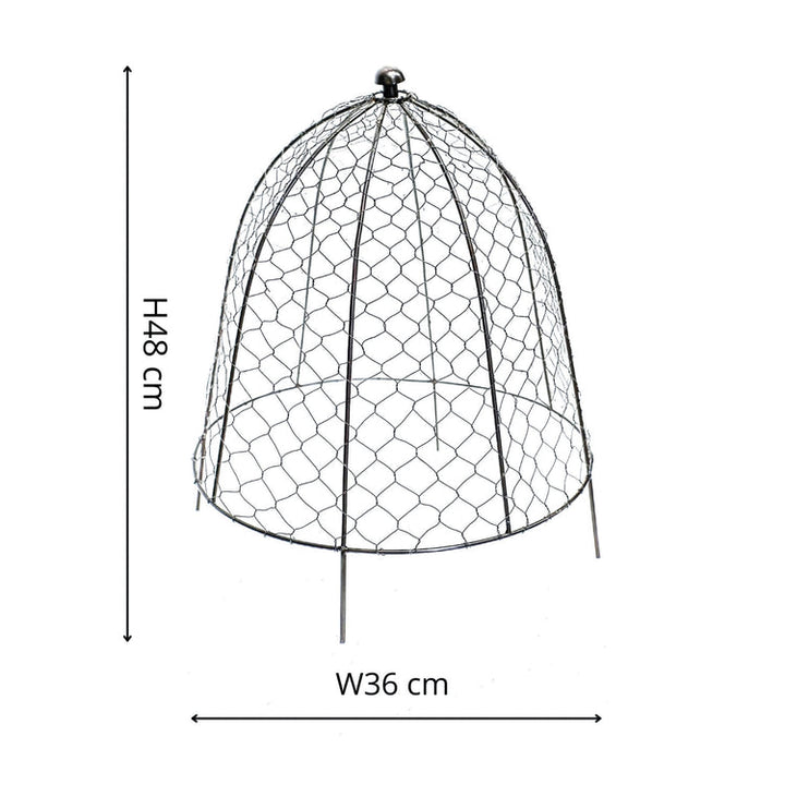 Ivyline Outdoor Wire Netted Plant Protector