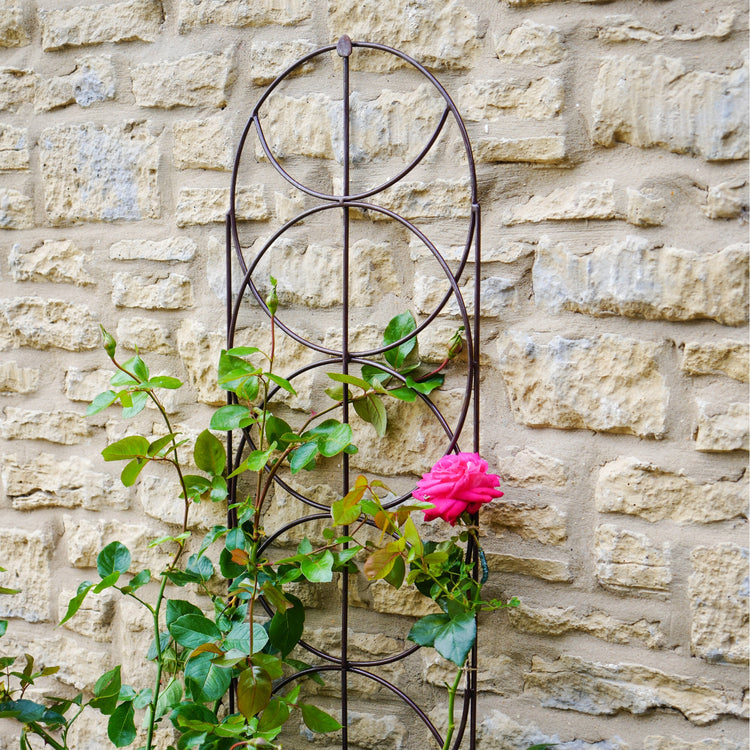 Ivyline Outdoor Cylinder Trellis