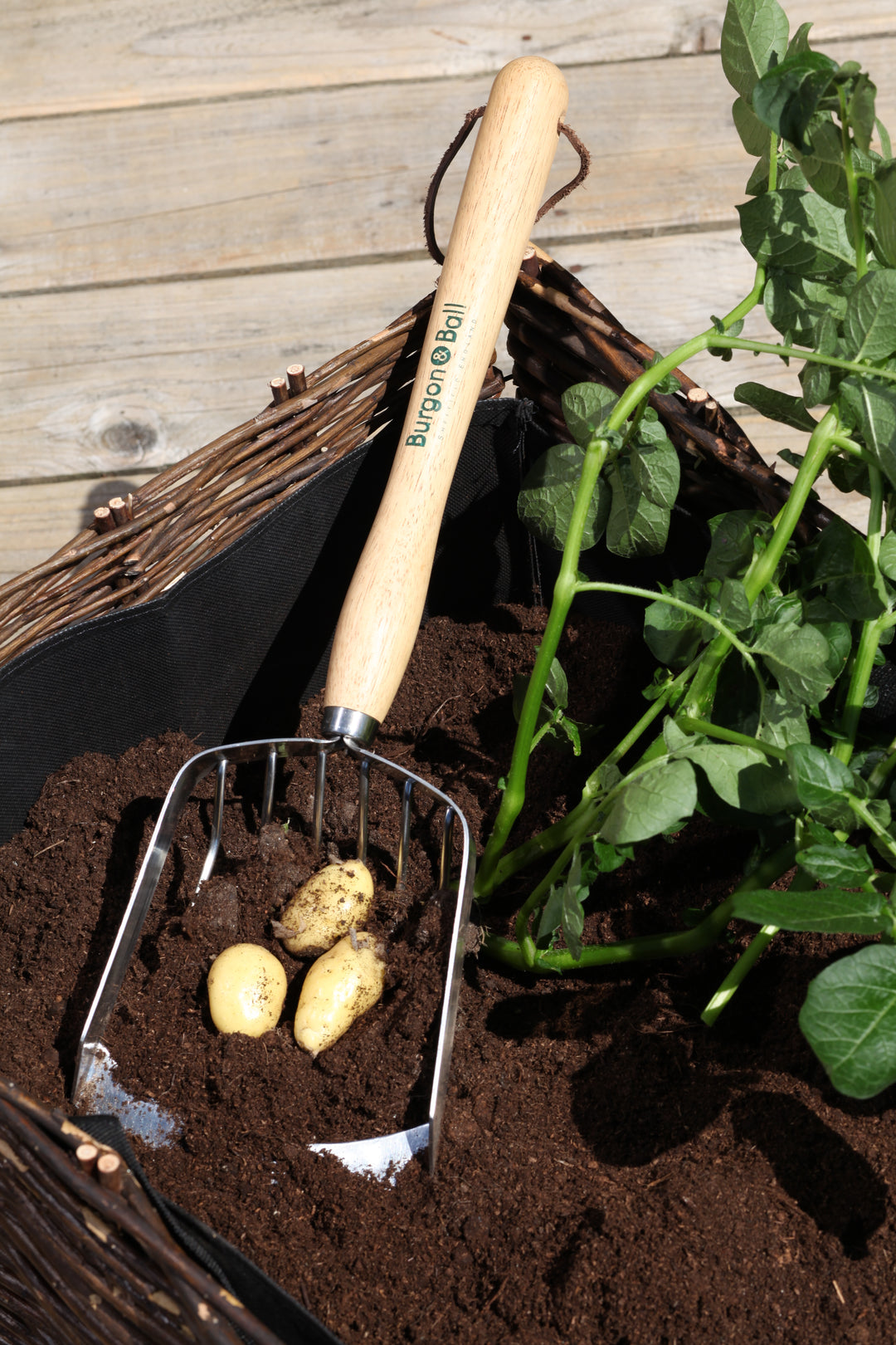 Burgon & Ball RHS Potato Harvesting Scoop