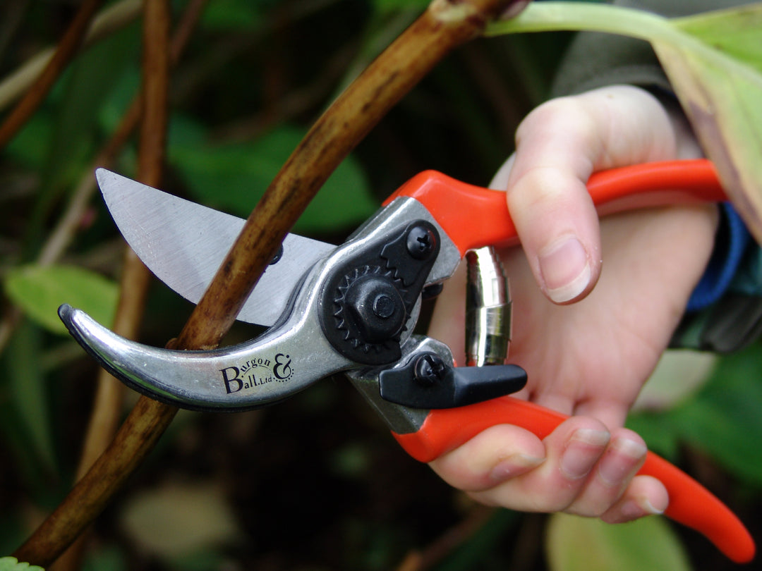 Burgon & Ball RHS Bypass Secateurs