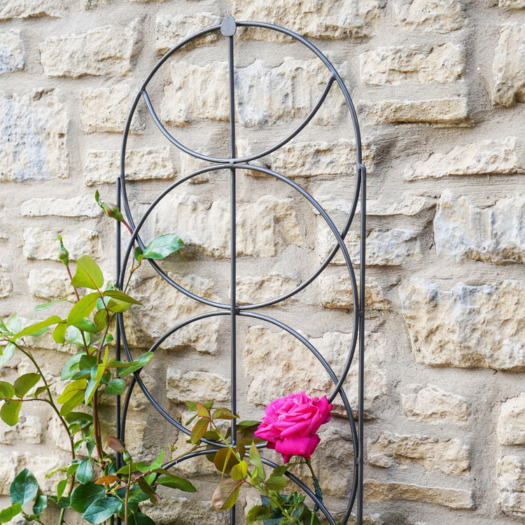 Ivyline Outdoor Cylinder Trellis