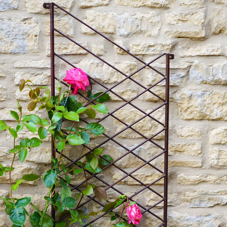 Ivyline Outdoor Linear Trellis