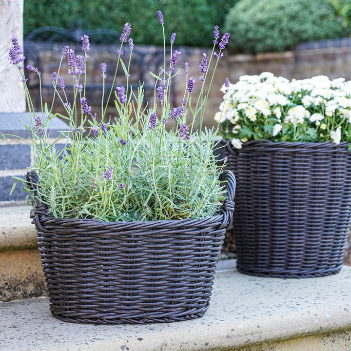 Ivyline Polyrattan Lined Basket