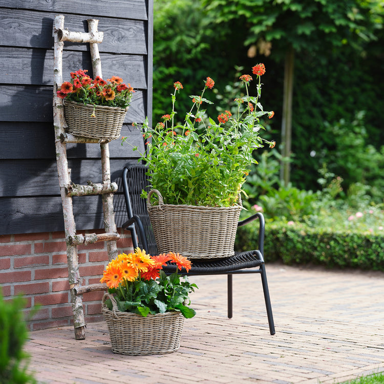 Ivyline Polyrattan Lined Basket