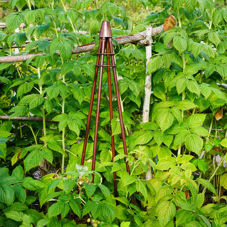 Ivyline Outdoor Climber Tripod