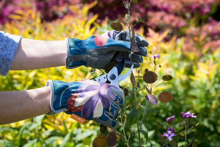 Burgon & Ball RHS Passiflora Gloves