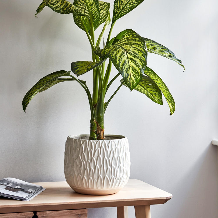 Ivyline Arles Leaf Embossed Planter