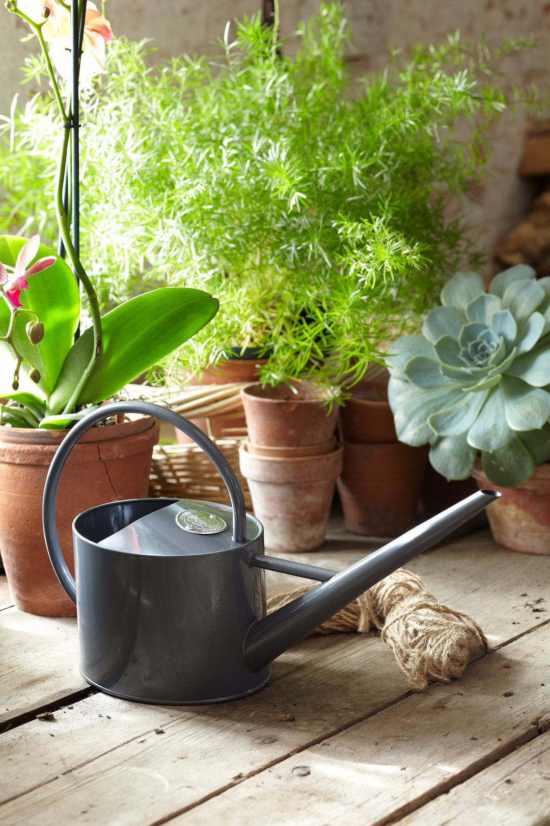 Burgon & Ball Sophie Conran Greenhouse and Indoor Watering Can