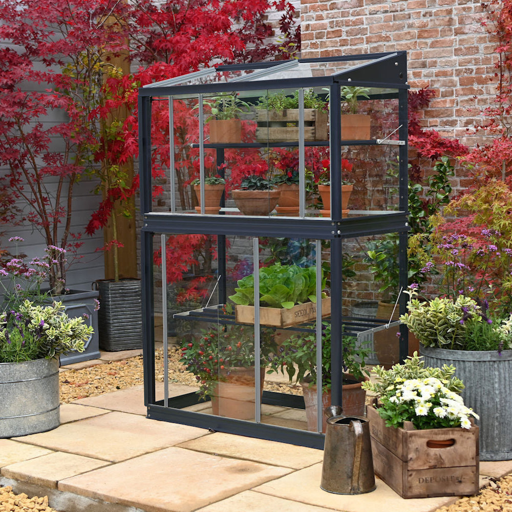 Buy Access Garden City Max Growhouse online UK