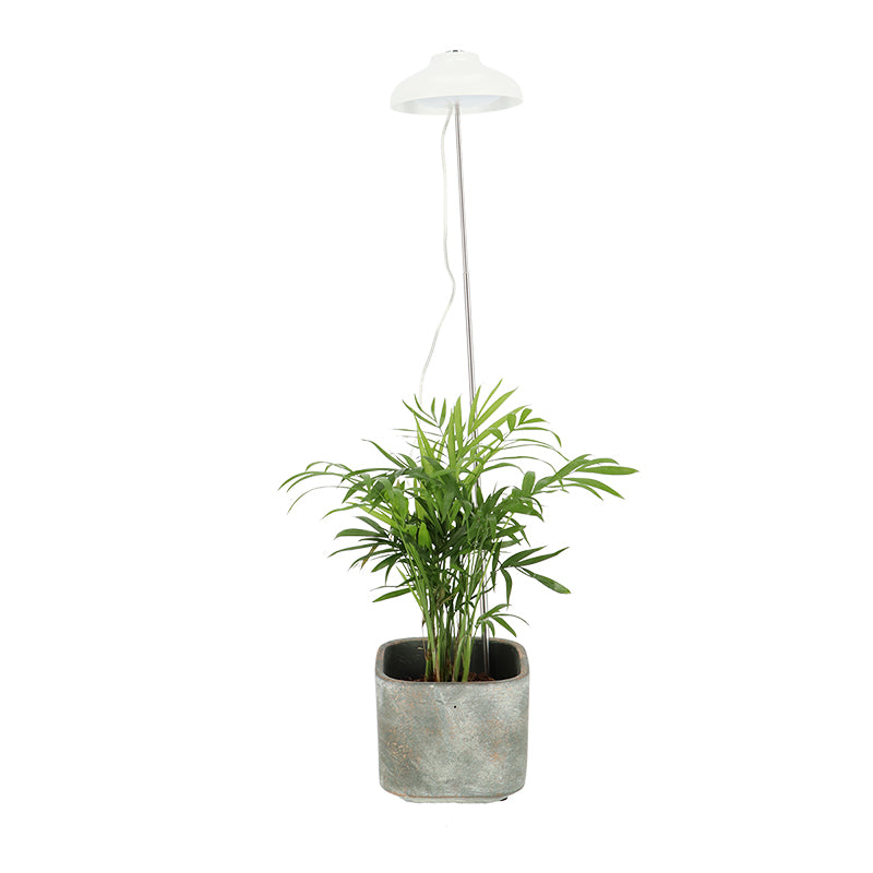 Plant Grow Lamp - White