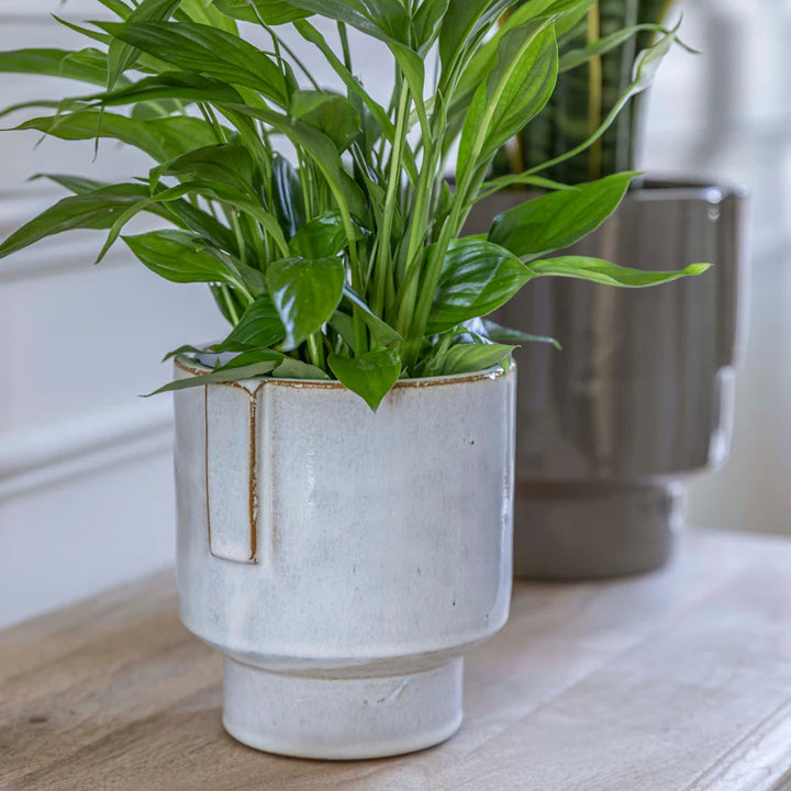 Ivyline Aries Glazed Handles Planter, planted on a side
