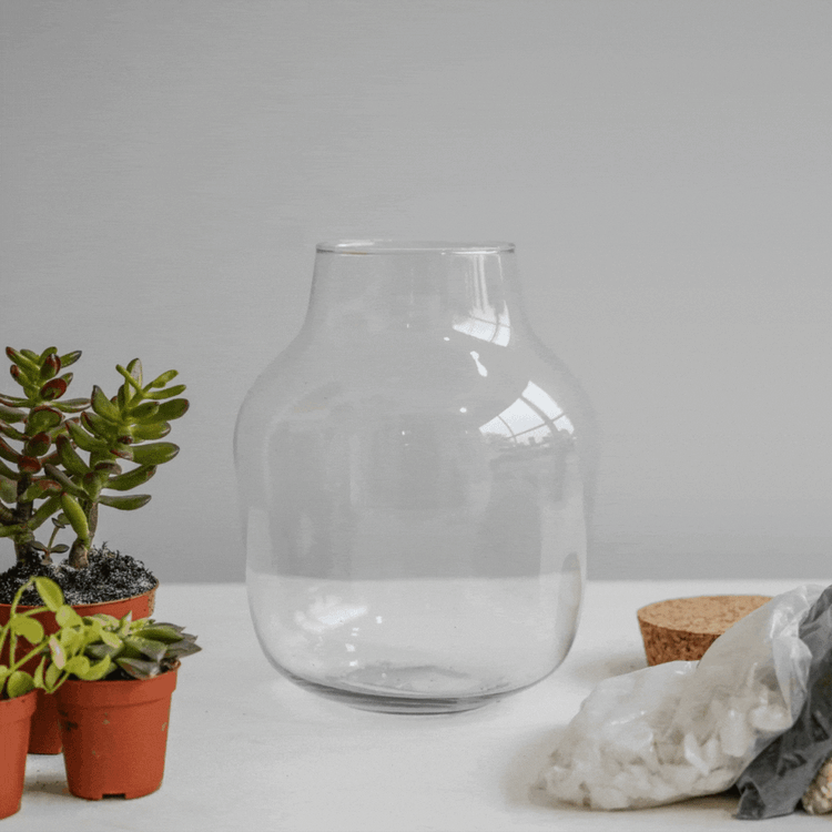 Ivyline Angluar Glass Small Terrarium DIY Kit