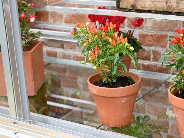 Access Harewood 5' 0" Lean-to Mini Greenhouse