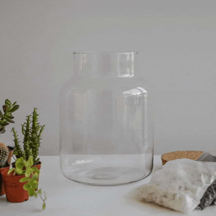 Ivyline Bottle Shape Terrarium DIY Kit