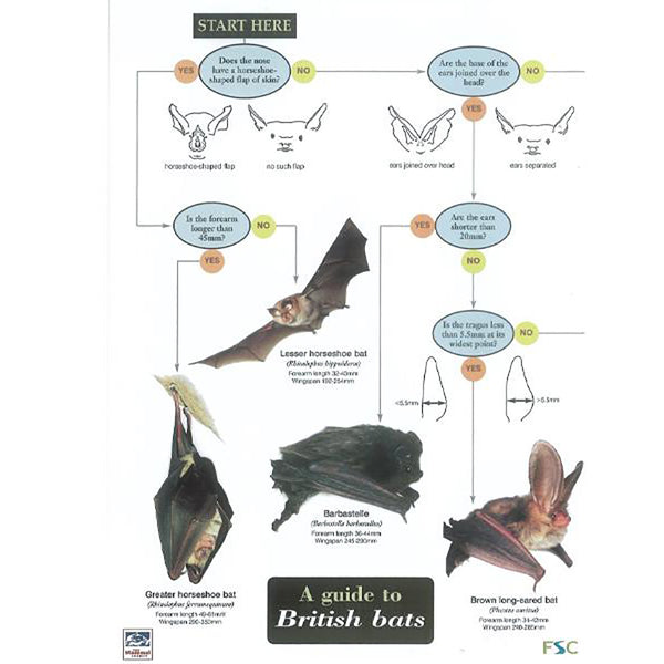 Gardenature Field Study Guide Poster