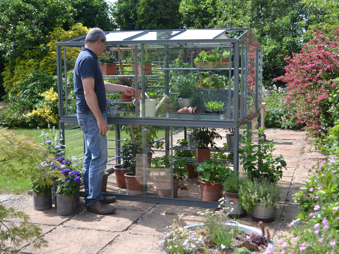 Access Chatsworth 6' 5" Classic Greenhouse