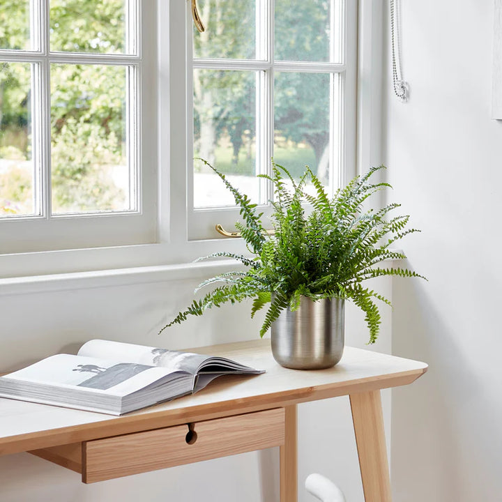 Chelsea Pewter Planter with Plant