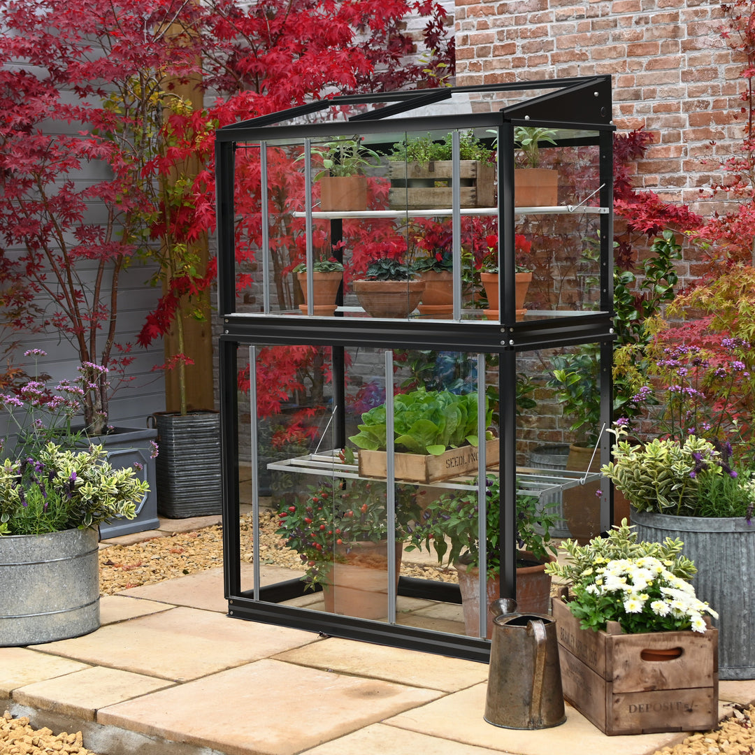 Buy Access Garden City Max Growhouse online UK