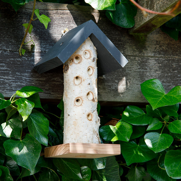 Gardenature The Birch Ladybird Tower