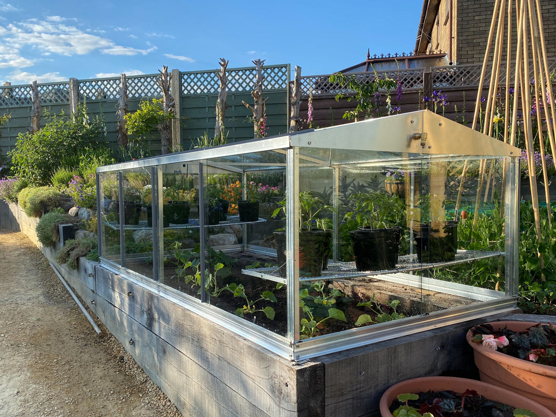 Access Large Cold Frame 8' X 4'