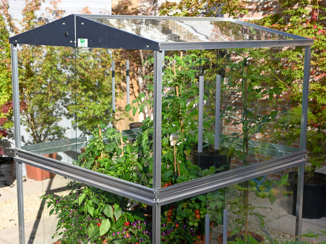 Access Double Tomato Greenhouse