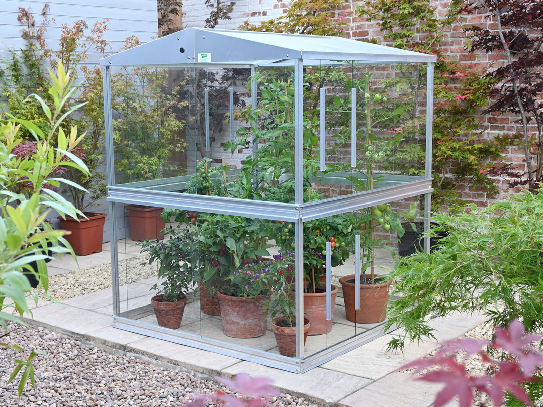 Access Double Tomato Greenhouse