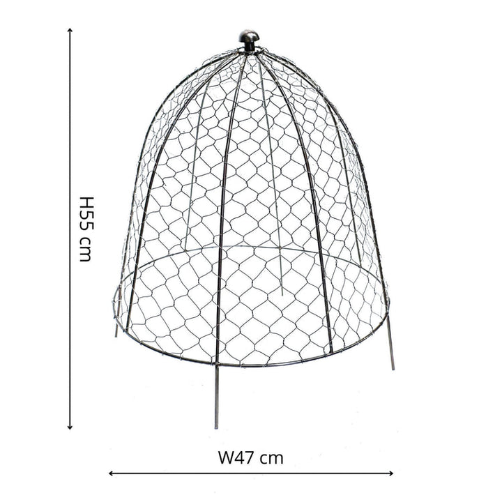 Ivyline Outdoor Wire Netted Plant Protector