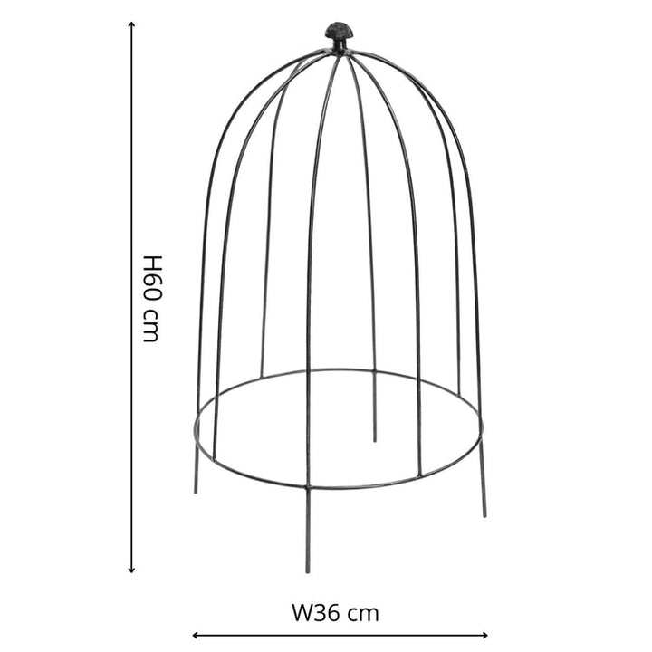 Ivyline Outdoor Plant Support