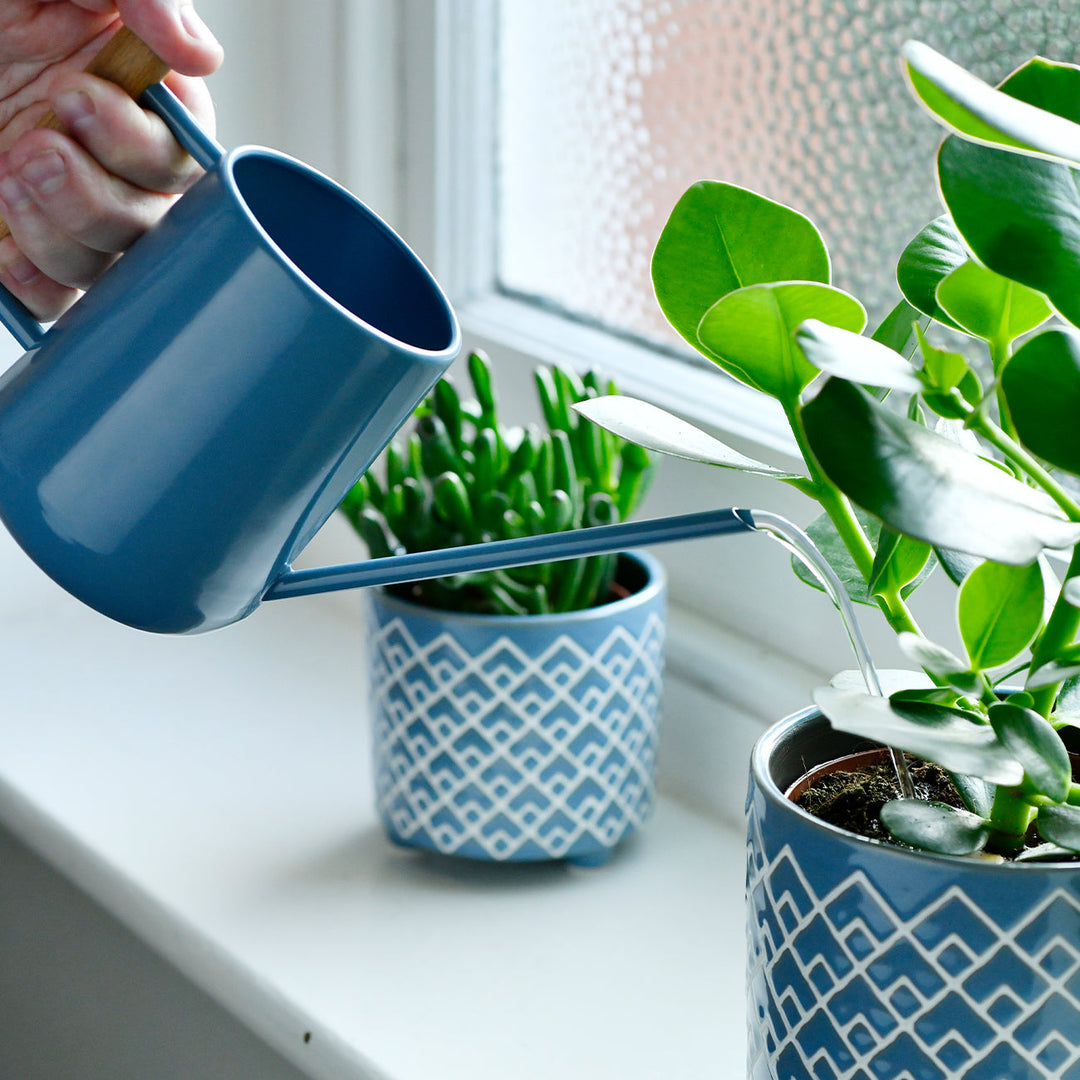Burgon & Ball Indoor Watering Can