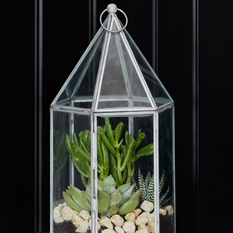 Ivyline Glasshouse Terrarium