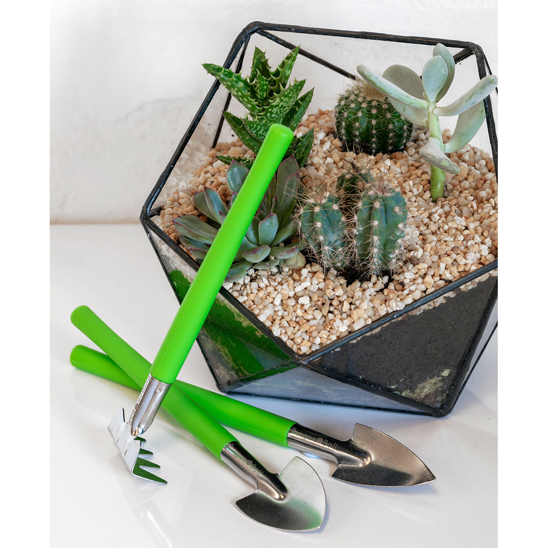 Burgon & Ball Houseplant and Terrarium Tool Set