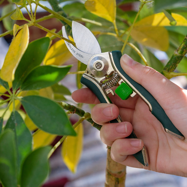 Burgon & Ball Houseplant Pruner